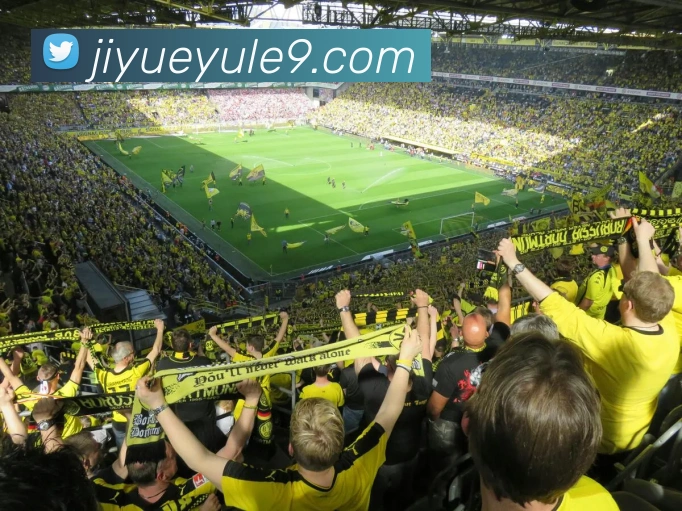 体育赛事